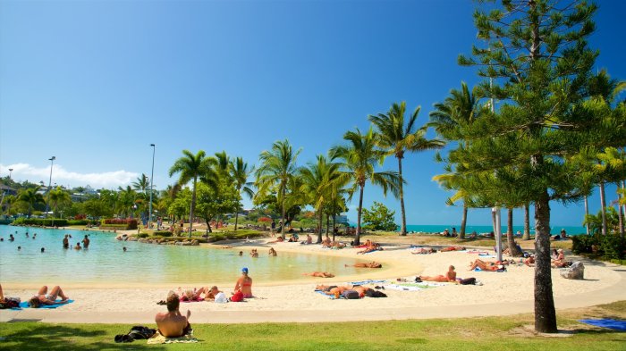 Airlie beach australia harbour shute queensland visit