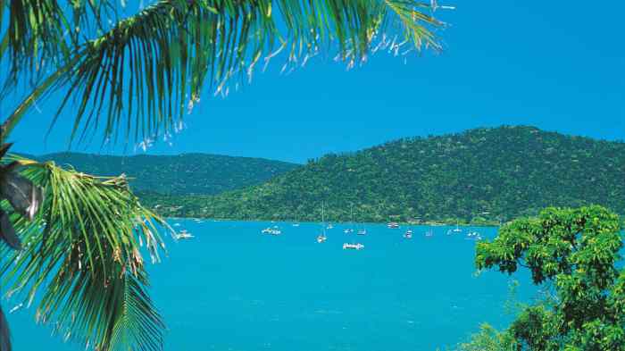 Airlie lagoon whitsundays bask